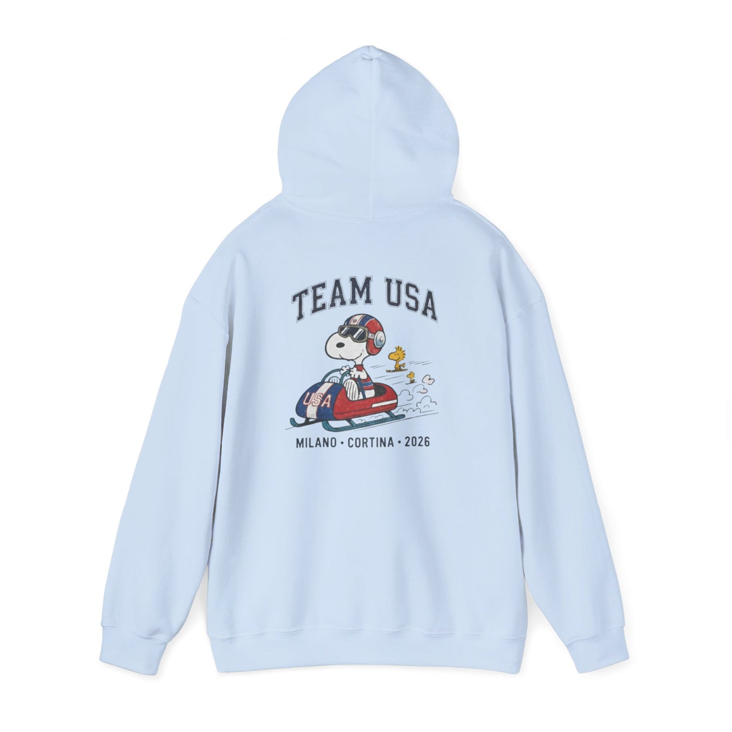 USA, Lifestyle | Icon Collection | Graphic Hooded Sweatshirt